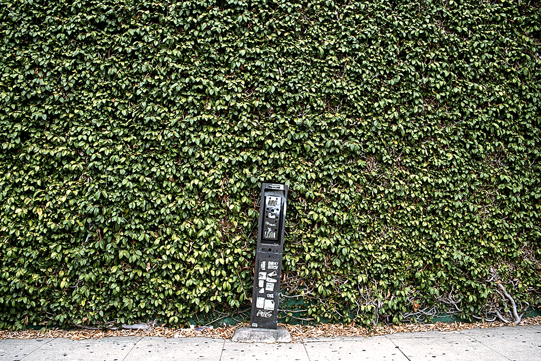Urban decay street photography of an abandoned payphone covered in graffiti and stickers against a wall full of green shrub in Los Angeles.