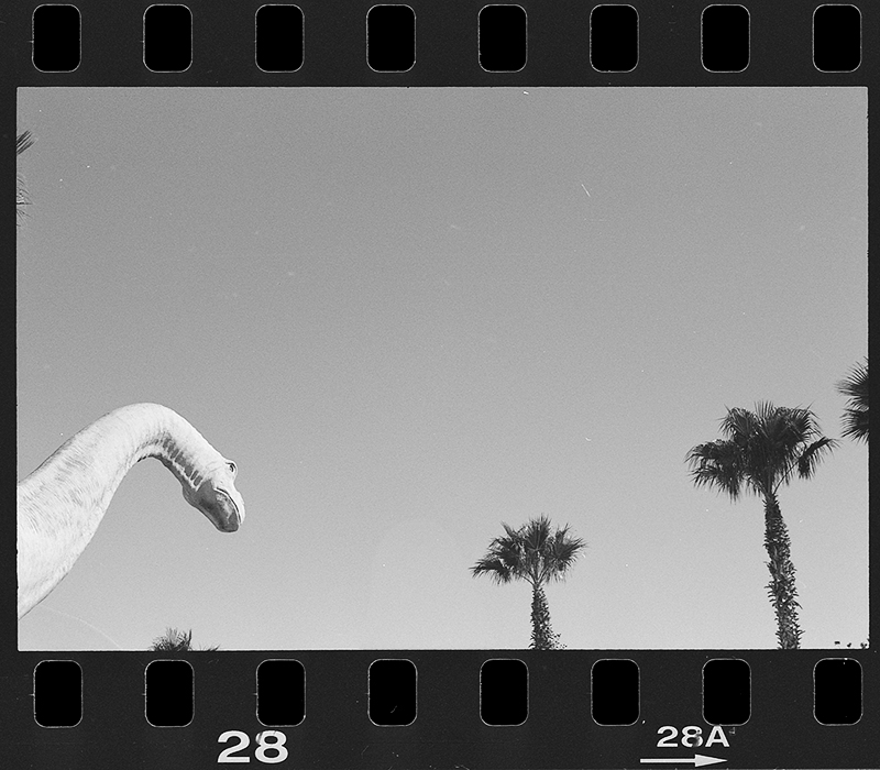 Cabazon Dinosaurs